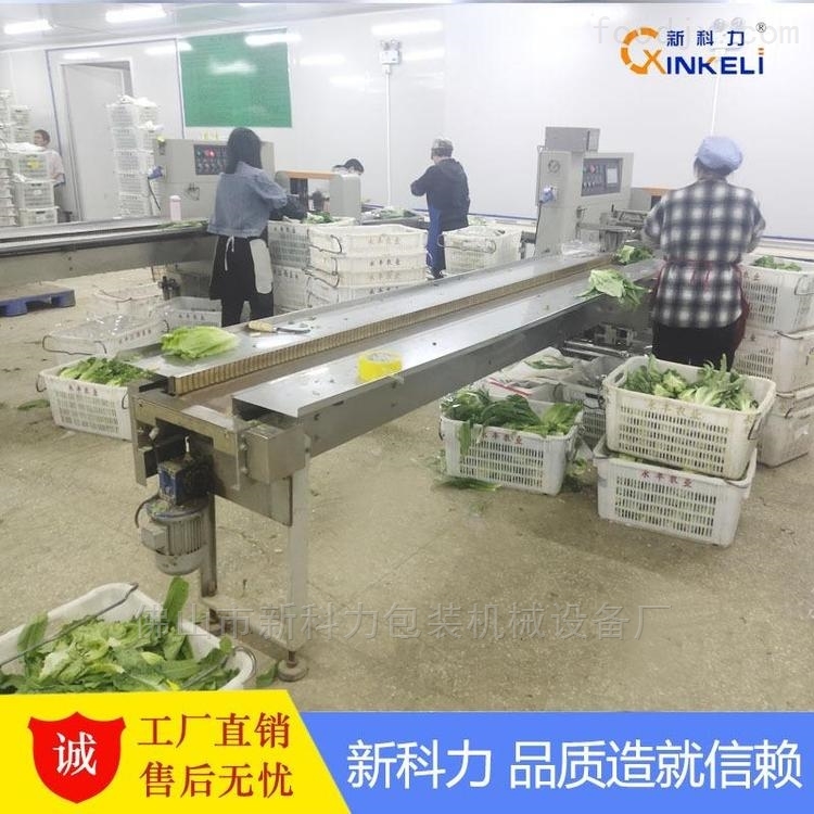 江门蔬菜配送：从田间到餐桌的供应链效率革命